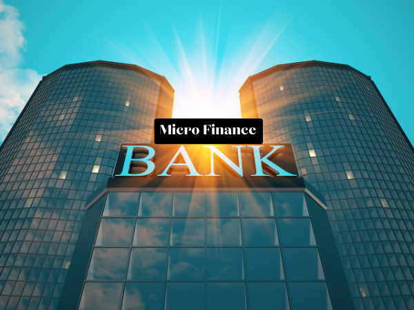 Top Micro Finance Bank In India